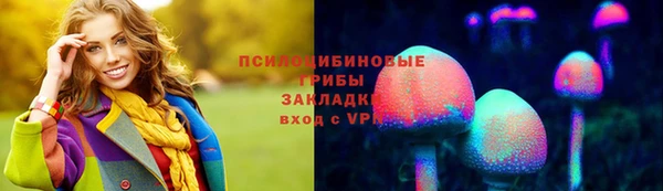 гидра Медвежьегорск