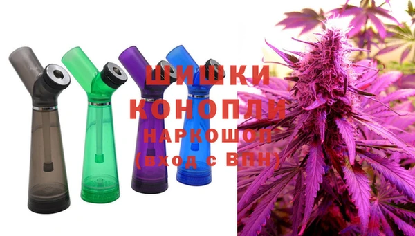 гидра Медвежьегорск