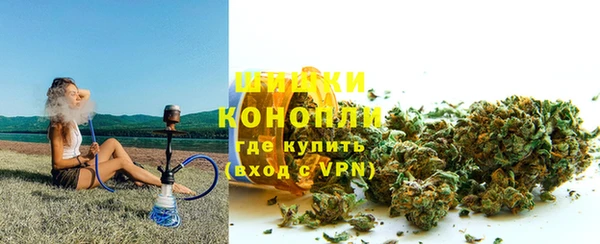 гидра Медвежьегорск