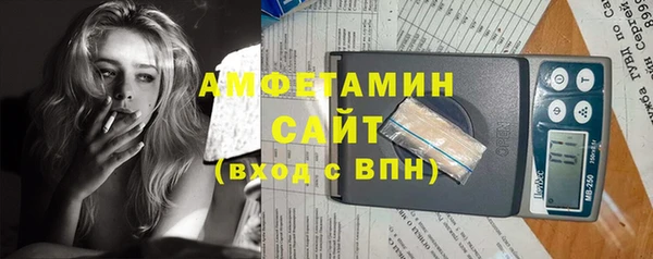 гидра Медвежьегорск